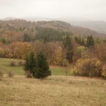 DSC08953